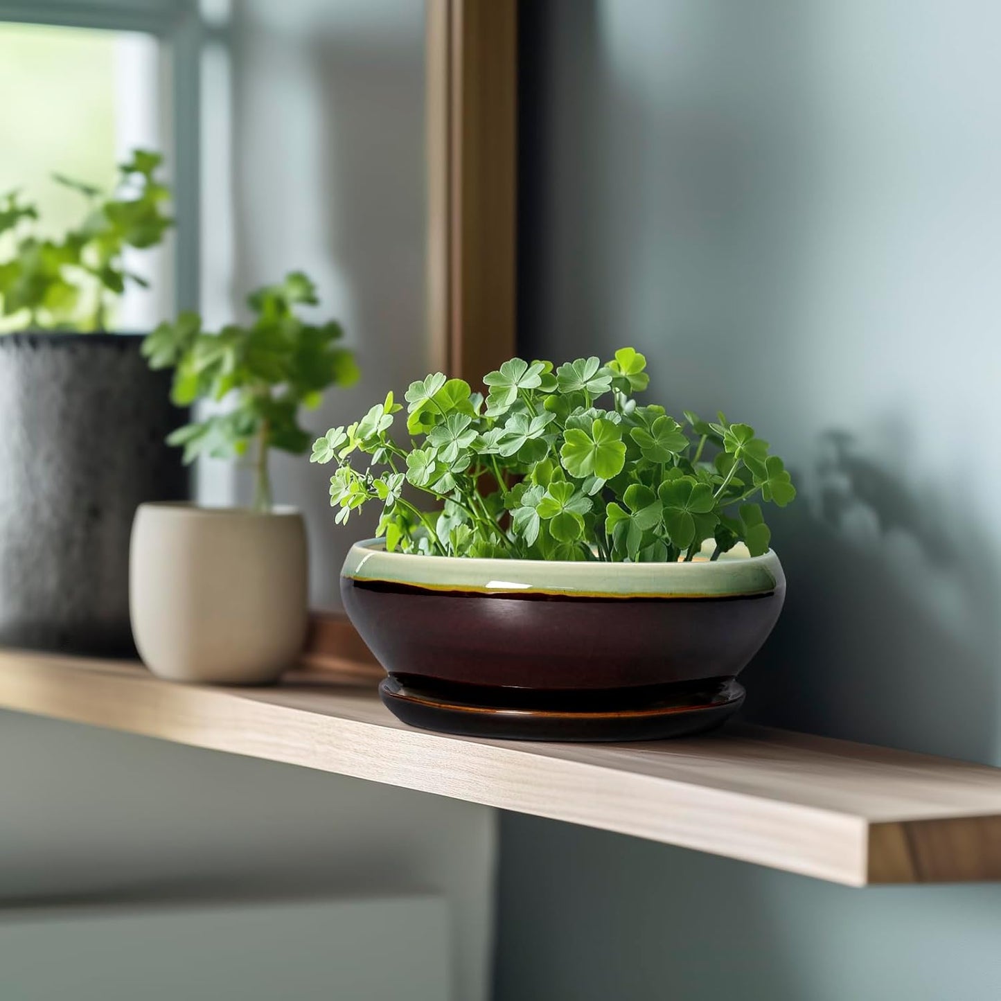 SQOWL Bonsai Pots 8 Inch - Ceramic Succulent Planters with Drainage Hole and Tray, Round Shallow Planter for Indoor Plants, Ceramic Planter Bowl Outdoor, Living Room Decor, Garden Gift, Green-Brown