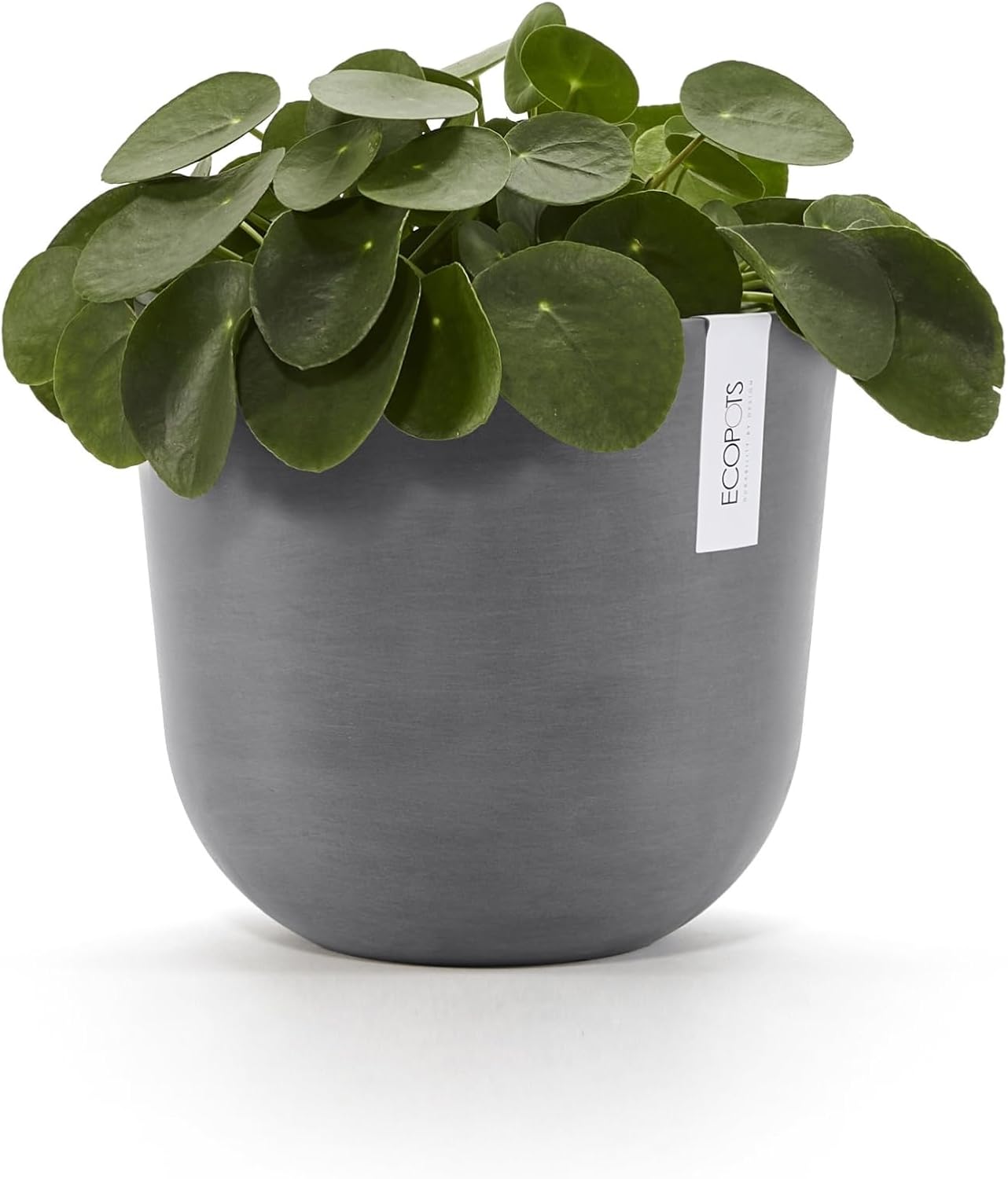 Ecopots Oslo Durable Modern Round Indoor/Outdoor Recycled-Based Composite Flower Pot Planter, Grey, 10"