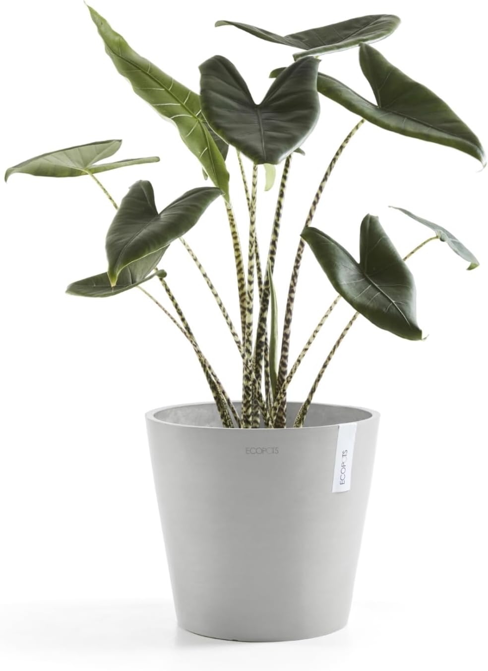 Ecopots Amsterdam Durable Modern Round Indoor/Outdoor Recycled-Based Composite Flower Pot Planter, White Grey, 16"