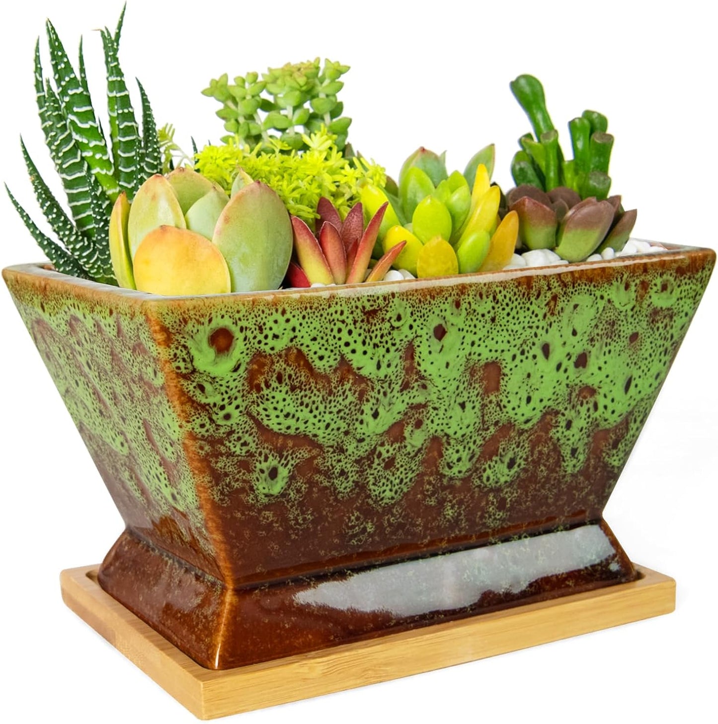 ARTKETTY Succulent Pots - 7 Inch Large Plant Pot with Drainage Tray, Shallow Ceramic Pots for Indoor Plants, Modern Cactus Bonsai Plant Container Decorative Home Office