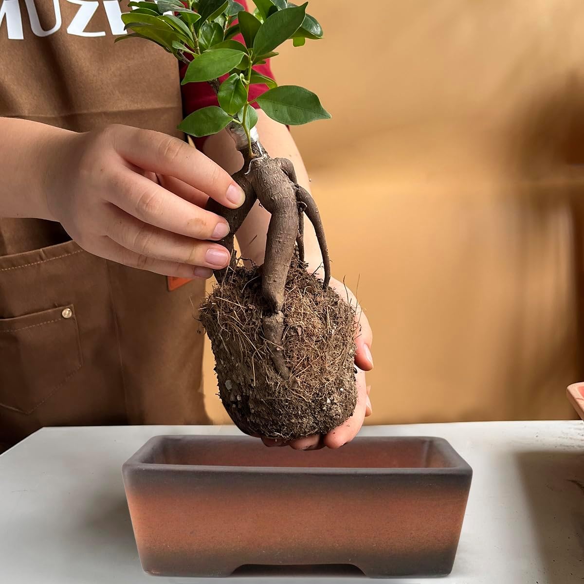 MUZHI 2 Pack Handmade Color Gradational Terracotta Bonsai Pot 5 Inch and 6 Inch with Drip Tray, Breathable Unglazed Rectangle Ceramic Planter for Tree Succulent Cactus