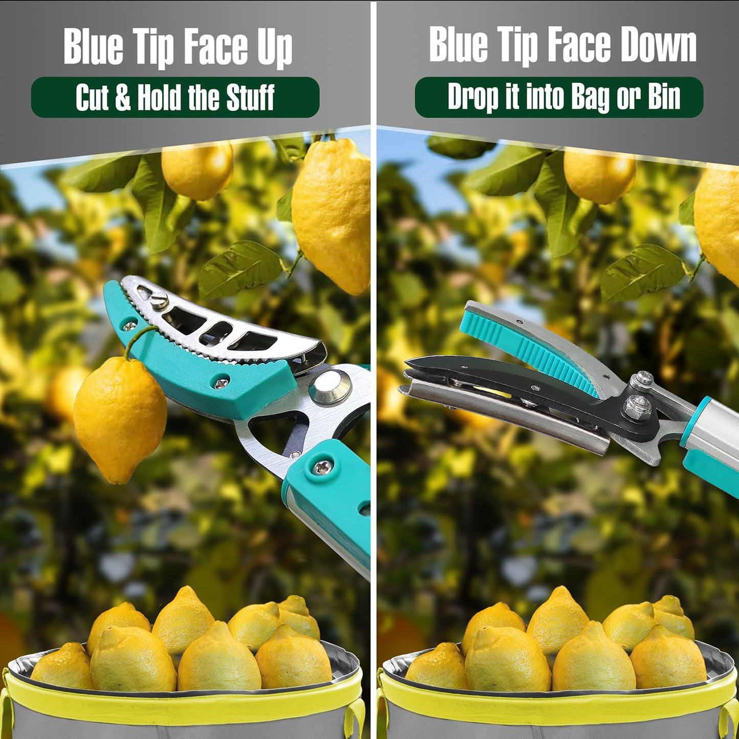 JARDINEER Lightweight Tree Pruner Extendable, 6-10ft Tree Trimmers Long Handle Pruner, Ergonomic Grip Long Reach Pole Pruning Shear and Stable Fruit Picker Pole