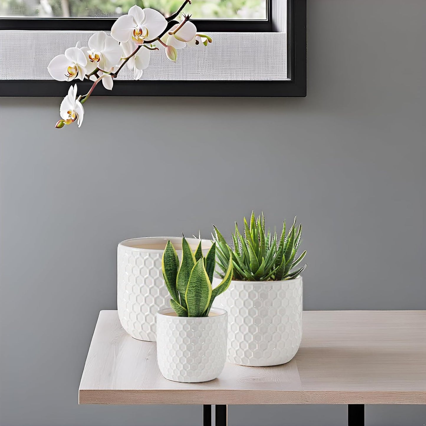 Docrin Plant Pots Indoor with Drainage: 6.4+5.3+4 Inch Ceramic Flower Pots for Plants - Set of 3 Modern Decorative Planters for House/Office/Gift - White Honeycomb