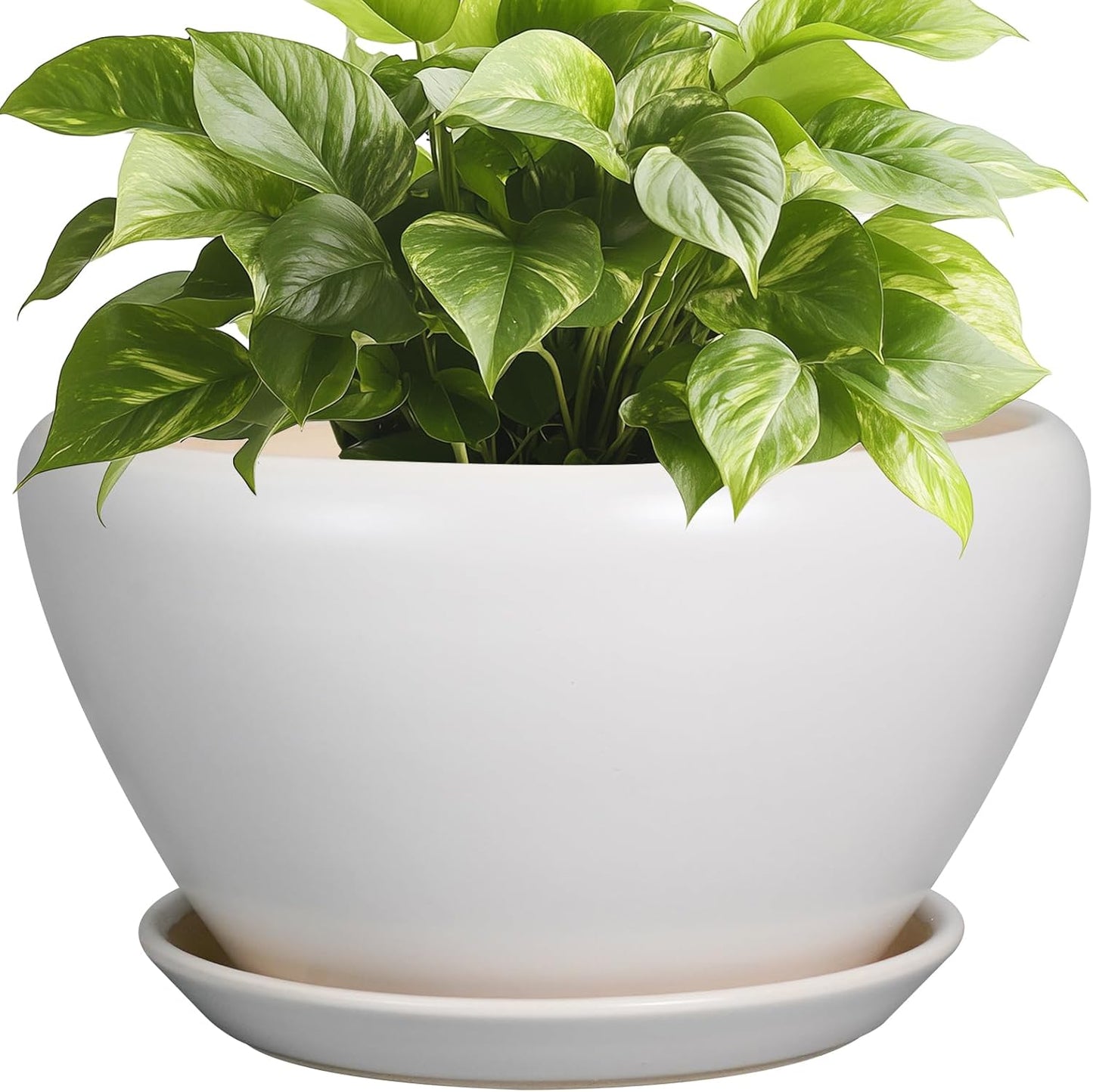 Ceramic Planter - 9 Inch Plant Pot Indoor with Drainage Hole and Saucer for Outdoor Plants Mid-Century Round Planter Modern Flower Pot for House Garden White