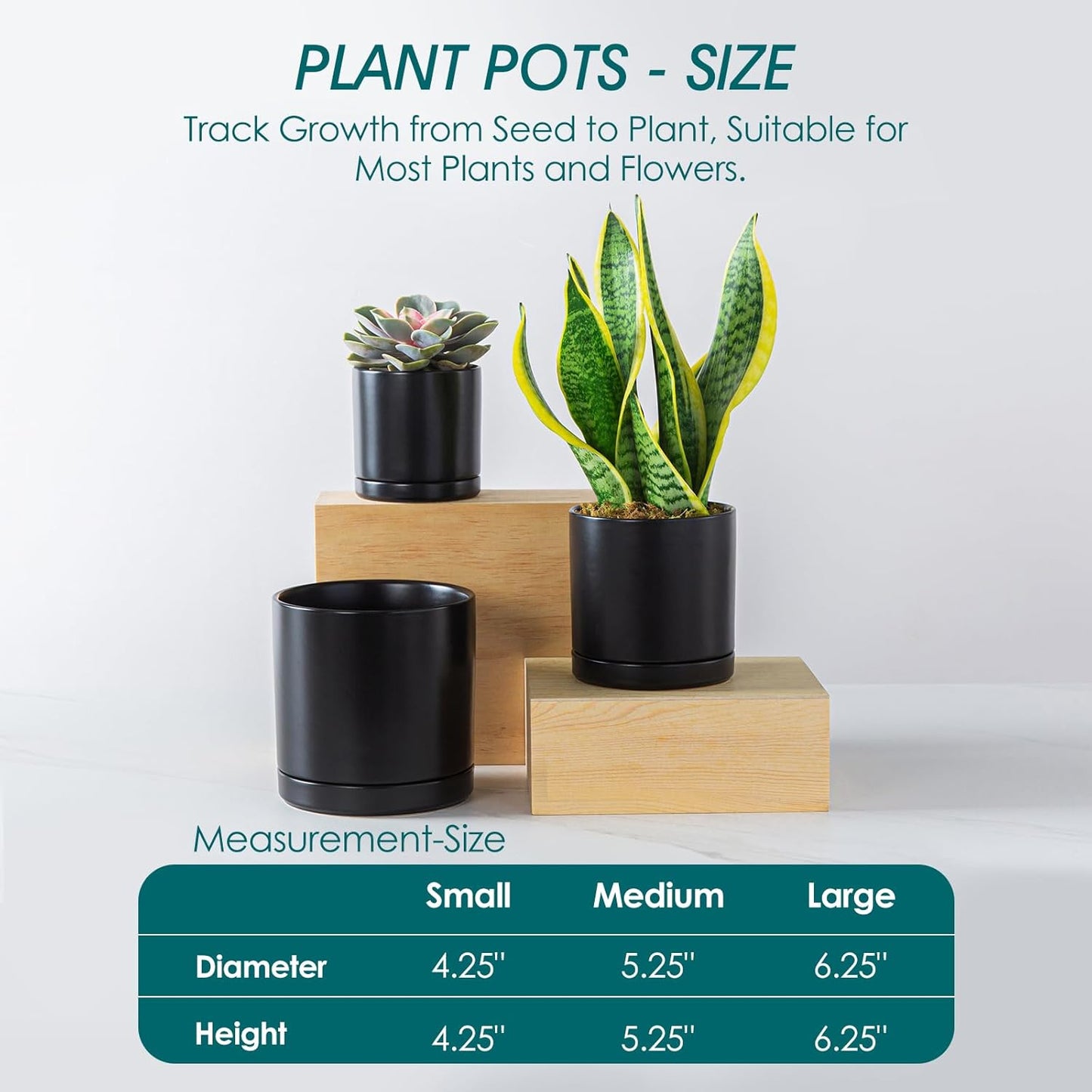 vancasso Ceramic Plant Pots, 3 Piece Planters for Indoor Plants, 4.25+5.25+6.25 Inch Flower Pots with Drainage, Plant Pots Indoor for Succulent, Pothos, Snake Plant and Money Tree, Etc (Black)