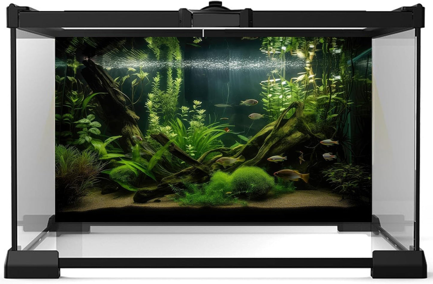 Aquarium Background Diverse Aquatic Plants and Seagrasses Terrarium Background Redwood Root Lush Green Underwater Plants Moss Fish Tank Background Under The Sea Aquarium Backdrop Vinyl 60x24in