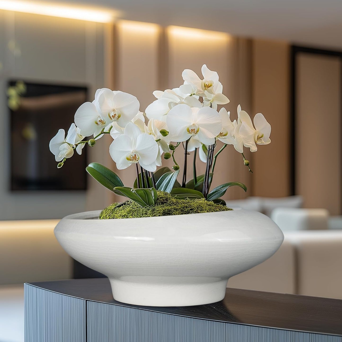 Bonsai Pots 13 Inch - Ceramic Succulent Pots with Drainage Hole Decorative Plant Pot Indoor Large Outdoor Planter Modern Flower Pot for Home Garden Office Room Decor Gray