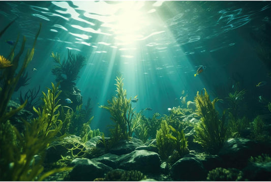 Ocean Aquarium Background Aquatic Plants with Rocks Terrarium Backdrop Sunlight Rays Deep Sea Fish Tank Background Aquarium Wallpaper Poster Decor Vinyl 30x18in