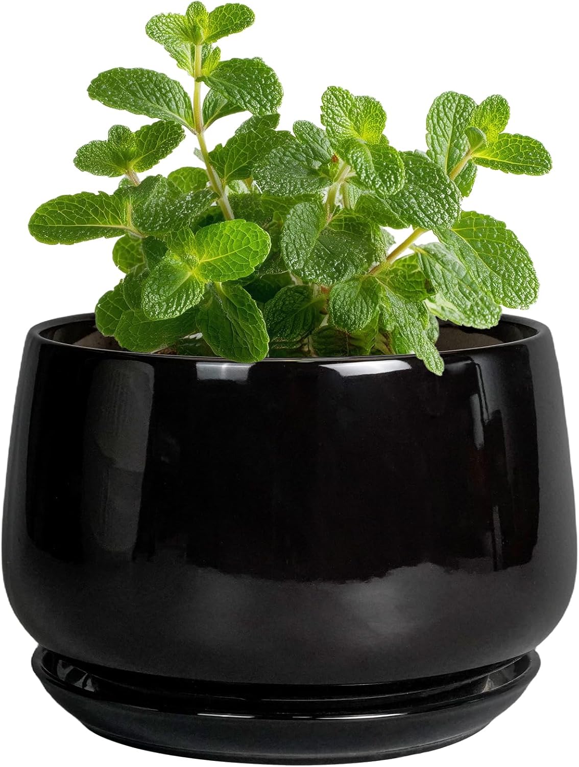 G EPGardening Small Ceramic Planter - 4 Inch Succulent Pots with Drainage Hole & Sacuer, Flower Pots for Indoor Outdoor Plants, Modern Decorative Round Planter, Room Decor, House Warming Gifts, Black