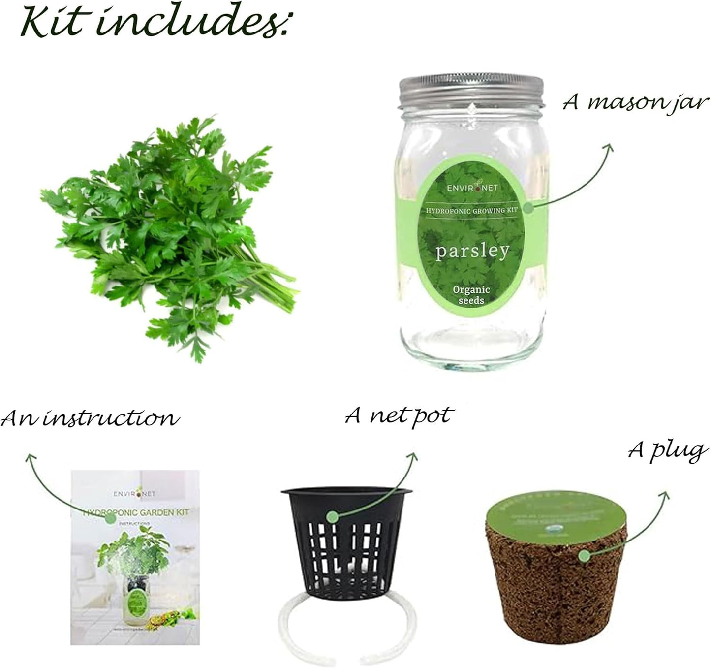 Hydroponic Herb Growing Kit, Self-Watering Mason Jar Herb Garden Starter Kit Indoor, Windowsill Herbs Garden, Grow Your Own Herbs from Organic Seeds (Parsley)