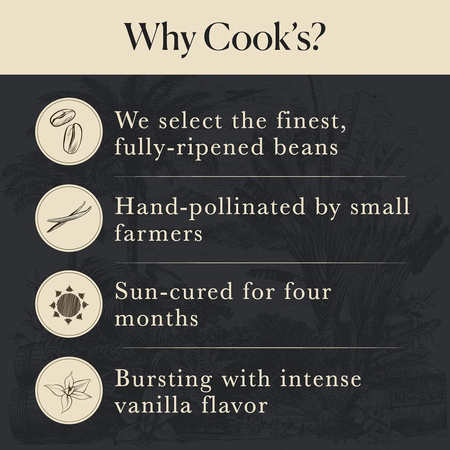 50 Organic Madagascar Whole Vanilla Beans, Grade A Vanilla Pods, Premium Vanilla Beans for Making Extract & Baking - Cook’s