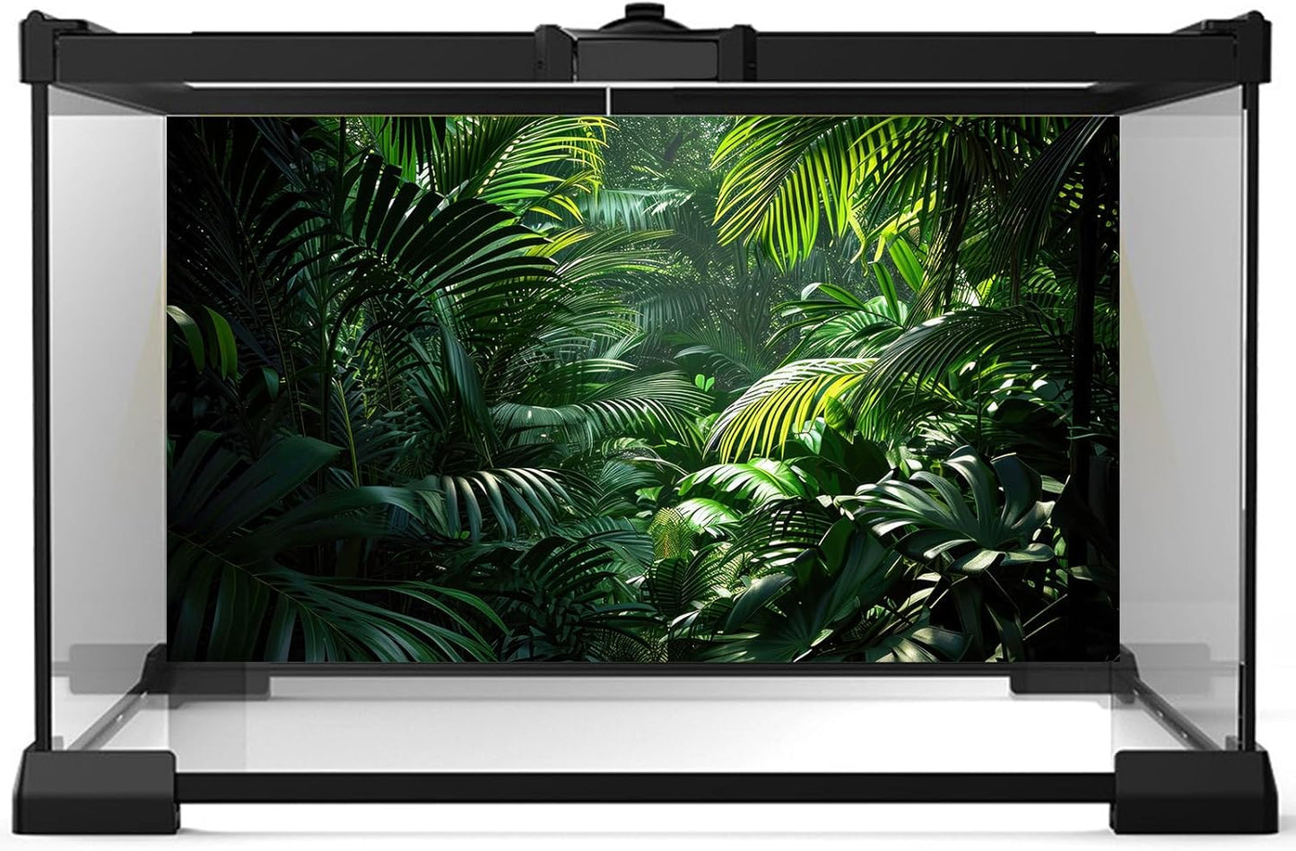 Aquarium Background Enchanting Beauty of Jungle Terrarium Backdrop Nature Jungle Green Leaf Palms Fish Tank Background Reptile Habitat Backdrop Wallpaper Poster Decor Vinyl 48x24in