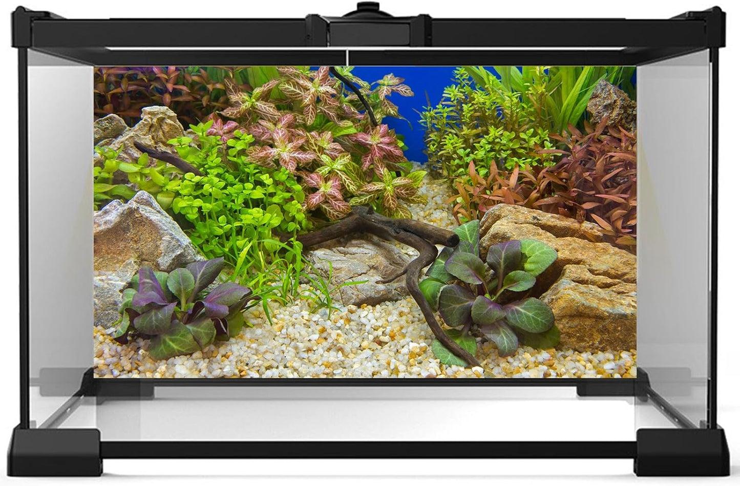 Aquarium Background Various Underwater Grass Plants Pebble Aquarium Backdrop Vivid and Fresh Green Aquatic Plants Stone River Bed and Dead Wood Purple Leaves Tank Background Vinyl 36x24in