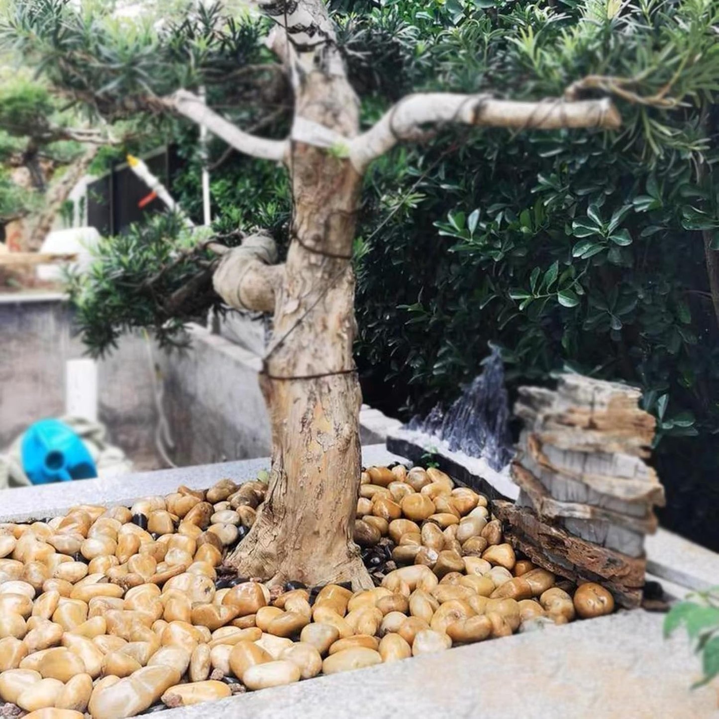 10 lbs Yellow River Rocks, 1-2 Inch Polished Pebbles for Indoor Plants, Decorative Rocks Stones for Landscaping, Vases, Aquariums, Fountains, Pathways, Backyard and Garden