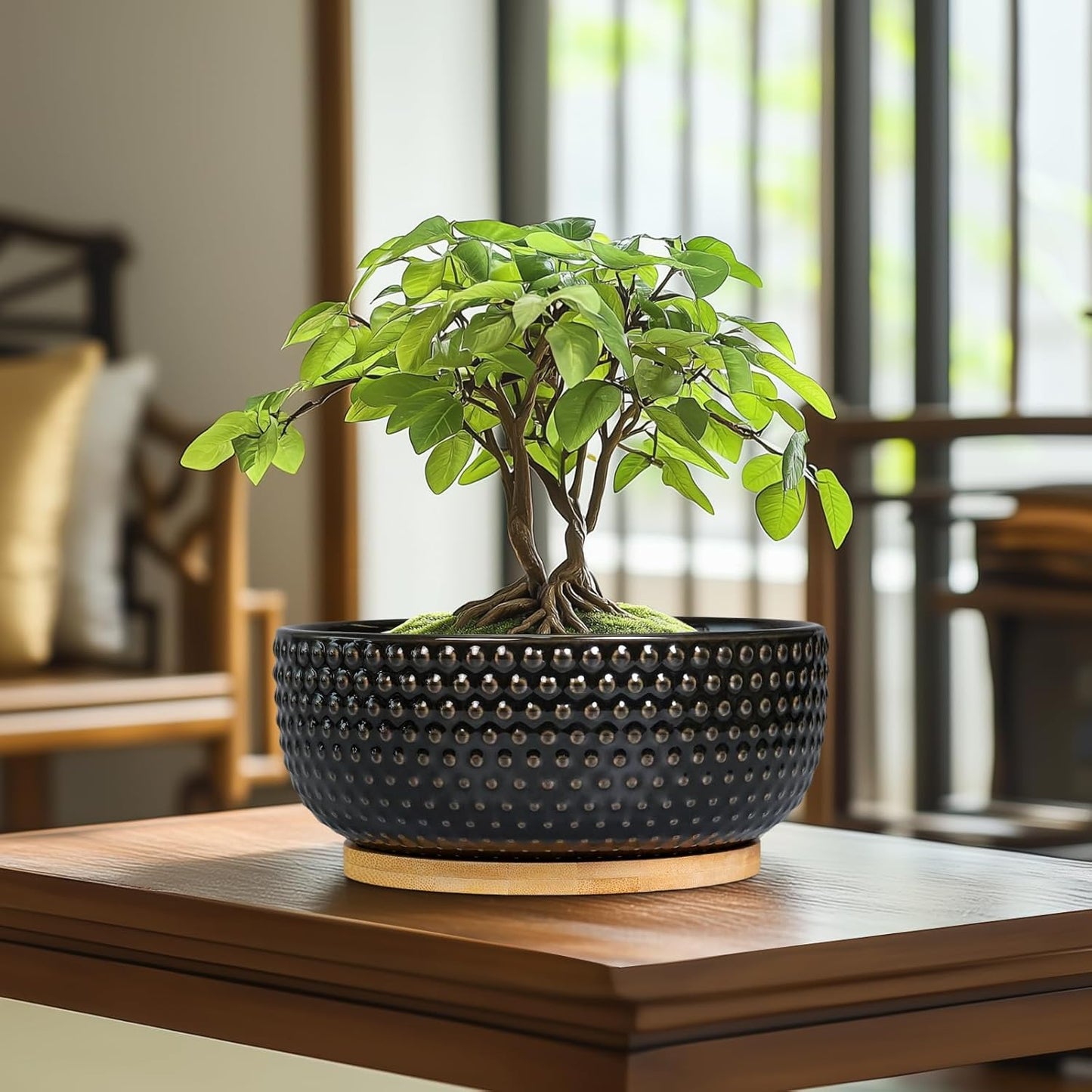 Bonsai Tree Pot - 8 Inch Ceramic Succulent Planters with Drainage and Plant Tray, Boho Round Shallow Bowl for Indoor Plants, Office Decor, Housewarming Gift, Black