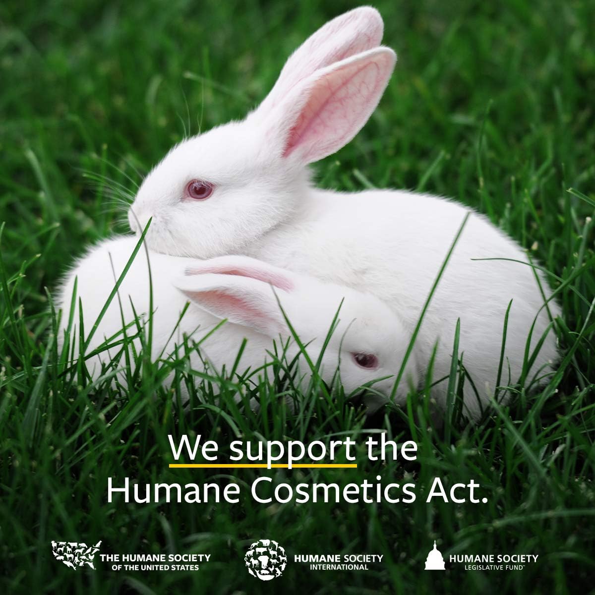 US Organic Mosquito Repellent Anti Bug Outdoor Pump Spray, 4 oz, Certified Organic, DEET-Free, Natural Insect Protection for Camping, Hiking, Travel