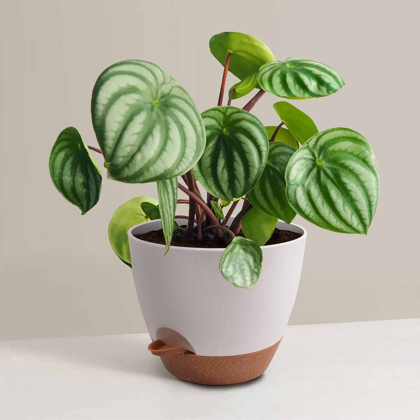 Plant Pots 12/10/9 inch Set of 3, Self Watering Flower Pots Indoor Outdoor, Planters with Drainage Hole Saucer Reservoir, White