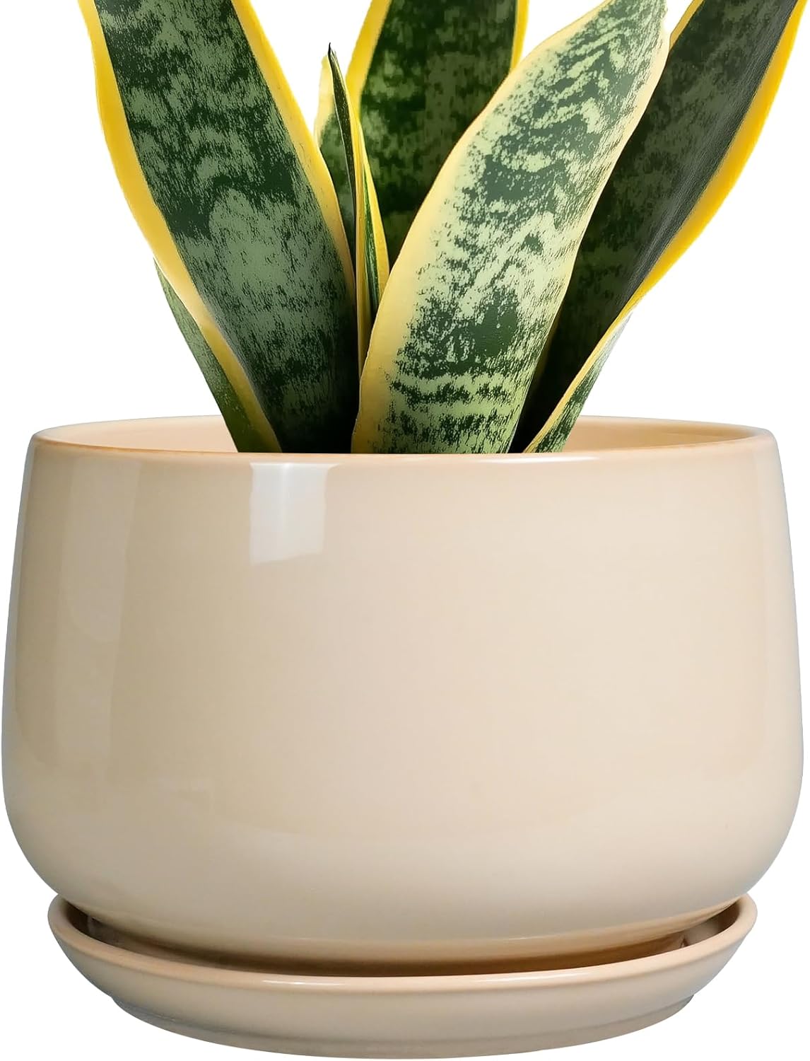 G EPGardening Ceramic Planter - 7 Inch Plant Pots with Drainage and Ceramic Tray, Flower Pots for Indoor Plants, Round Outdoor Planter, Room Decor, Gifts for Plant Lovers, Beige