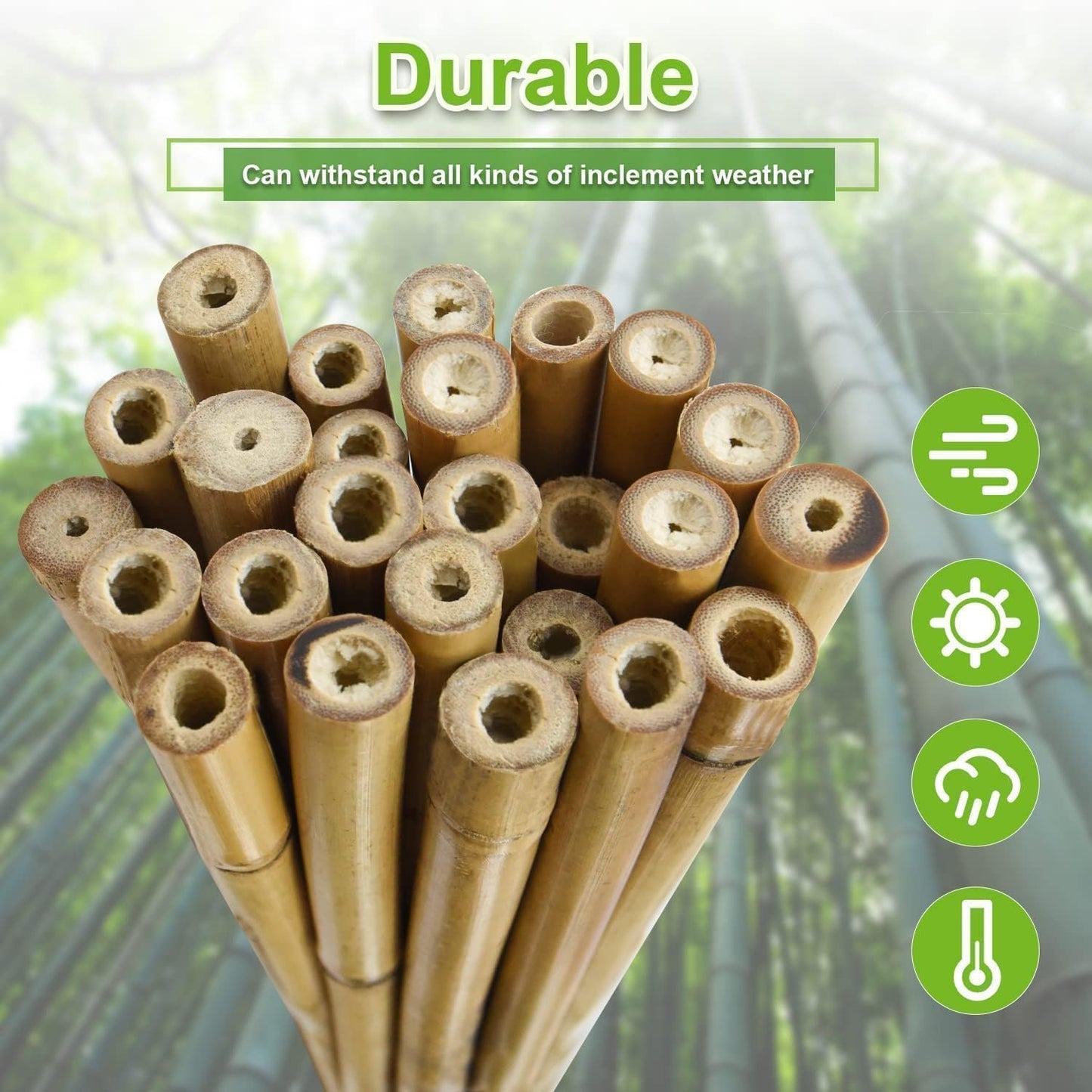 1/2" D 4 Feet Bamboo Stakes 50 Pack, Thicker Heavy-Duty Plant Stakes, Natural Garden Stakes for Bean, Tomato, Bean, Flowers,Trees Potted and Climbing Plant Support