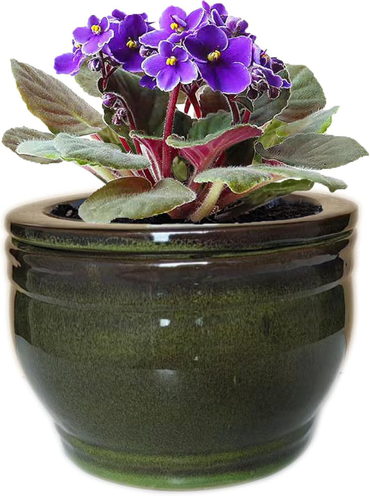 African Violet Pots Self Watering Round Ceramic Violet Pot (Olive drab, 6 inch)