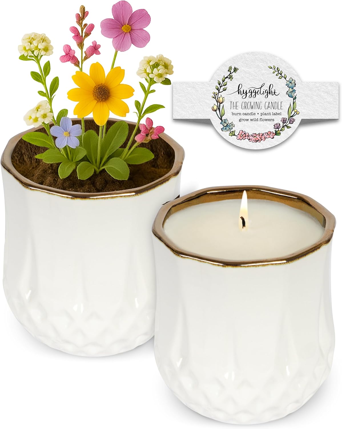 The Growing Candle, Chai Scented, 9oz Ceramic Pot, Aromatherapy Candles for Home, 100% Soy, Astrid