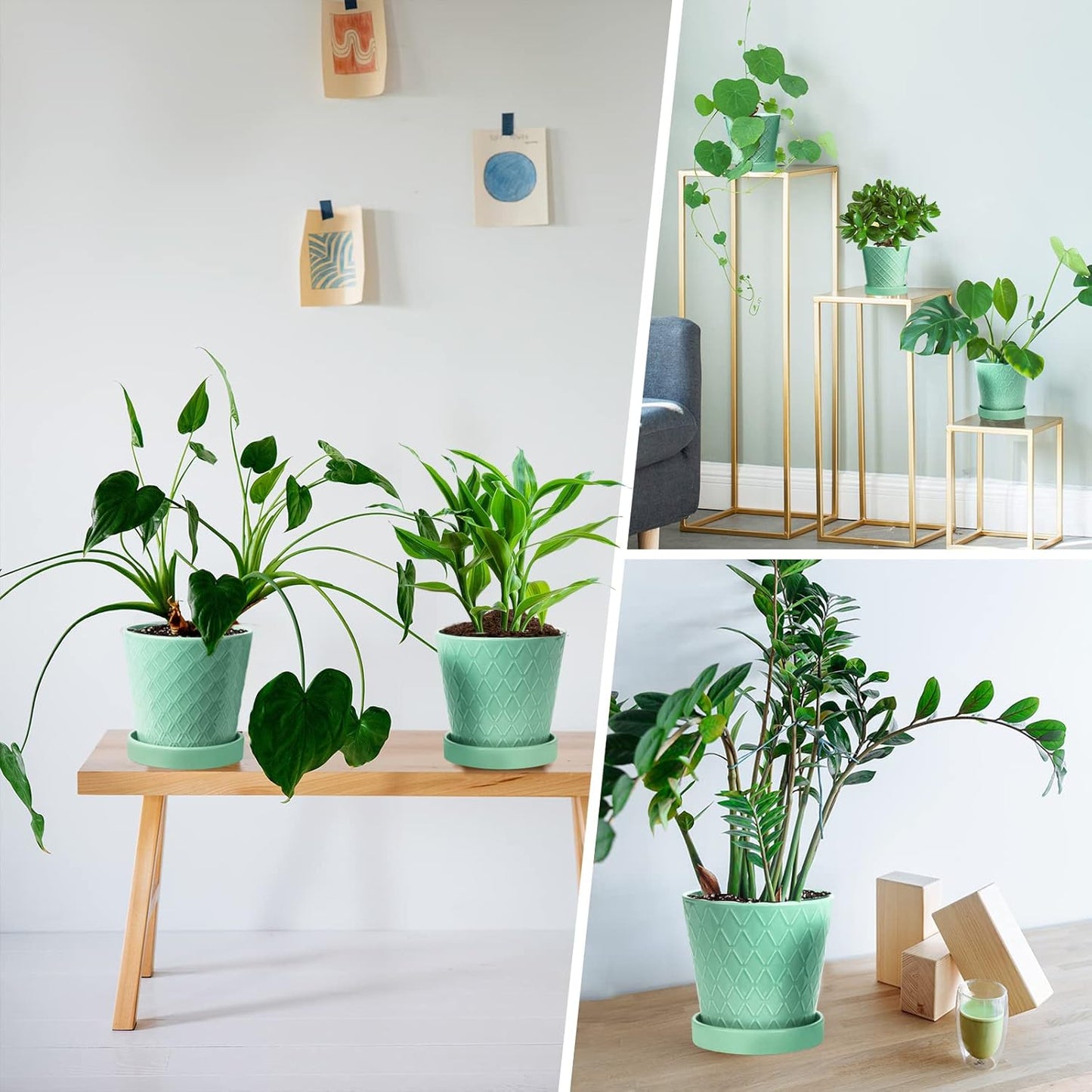 EFISPSS Flower Planter –5 inch Ceramic Plant Pots with Drainage Holes and Ceramic Tray - Gardening Home Desktop Office Windowsill Decoration Gift Set of 4 - Plants NOT Included