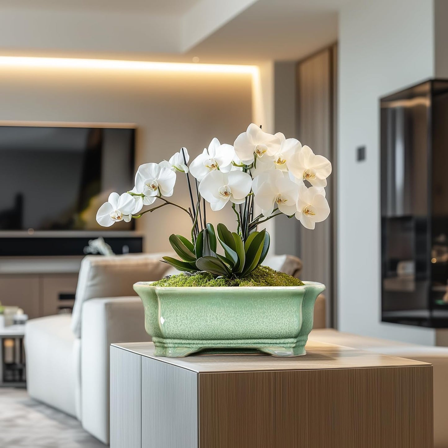 Bonsai Pots - 13.7 Inch Rectangle Ceramic Pots for Plants, Large Succulent Planter with Drainage Hole, Decorative Planters for Indoor Outdoor, Garden House Decor, Housewarming Gifts, Green