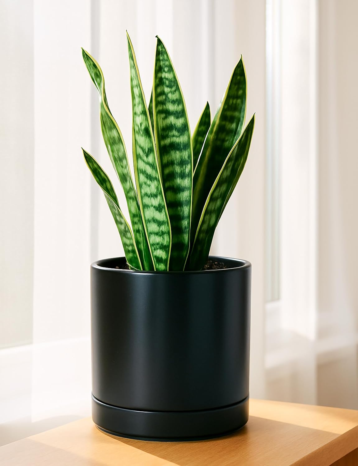 D'vine Dev 4 Inch & 6 Inch & 8 Inch, Set of 3 Round Ceramic Planter Pot with Drainage Hole and Saucer, Black, 94-T-M-2