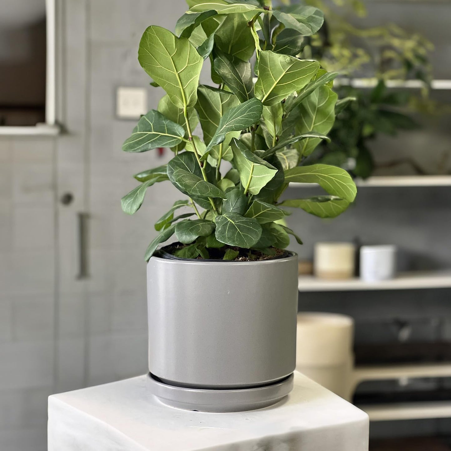 Ceramic Mid Modern Planter Pots with Detached Saucer - Indoor/Outdoor Plant Pots with Drainage Hole