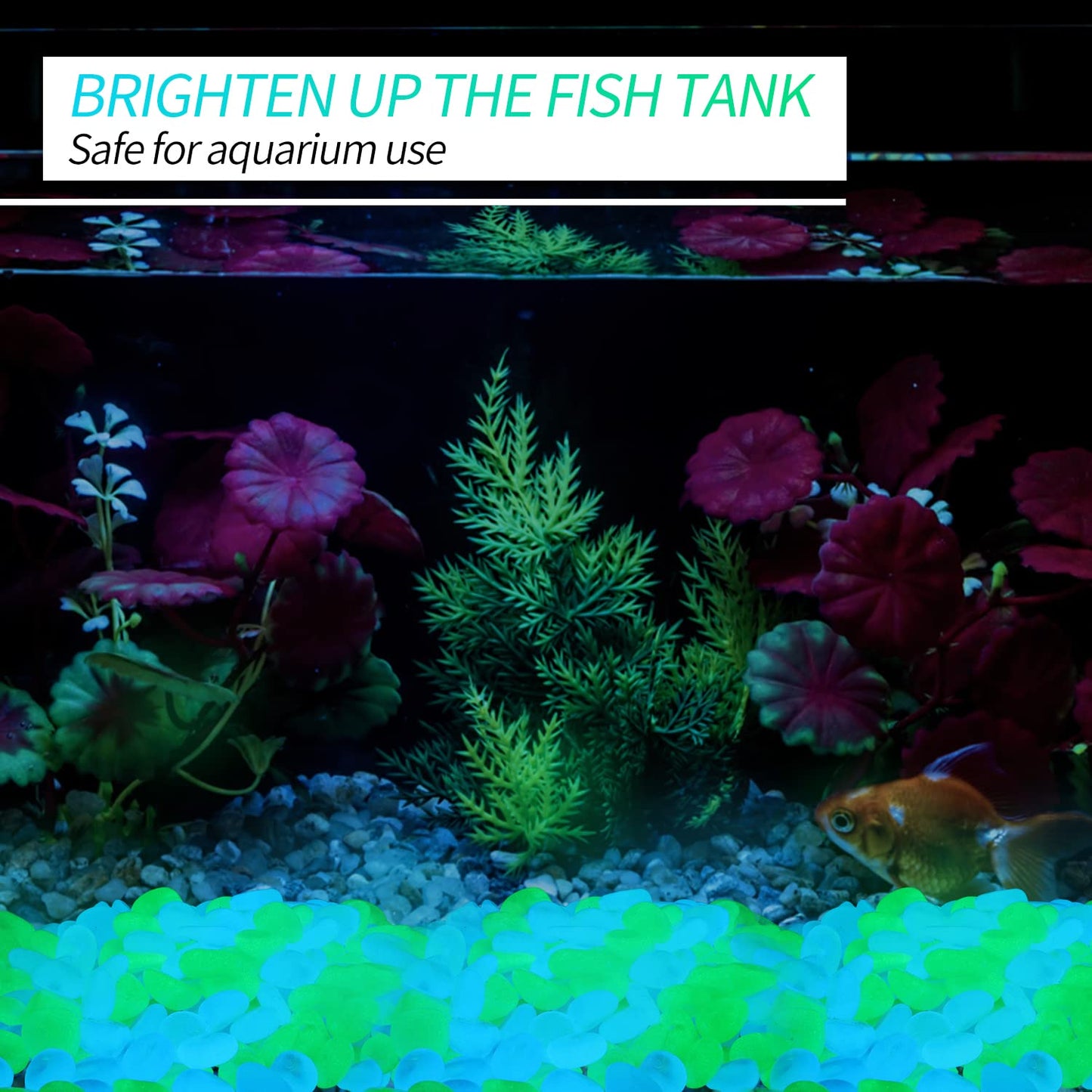 900pcs Glow in The Dark Rocks Outdoor Decorations Stones Small Luminous Pebbles Indoor/Outdoor Decor for Garden Fish Tank Aquarium Planter Walkway - Green & Blue