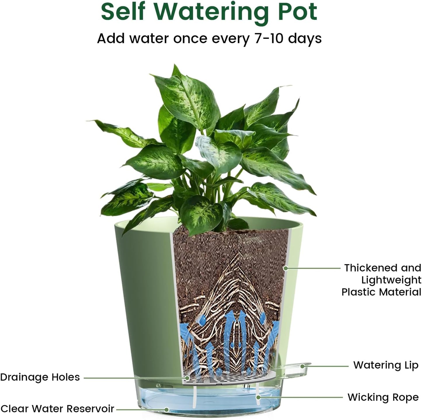 6 inch Self Watering Pots for Indoor Outdoor Plants, 3 Pack Flower Plant Pots with Drainage Holes and Clear Reservoirs, Visible Water Level, Plastic Planters with Wicking Rope, Green