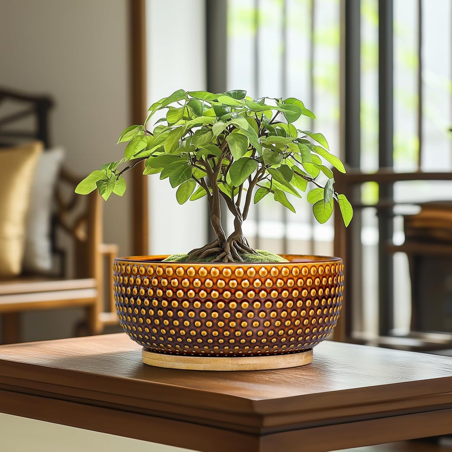 Bonsai Pots - 8 Inch Succulent Bowl for Indoor Plant, Shallow Round Ceramic Planters with Drainage Hole and Saucer, Boho Home Room Office Apartment Decor, Plant Lovers Gifts, Brown