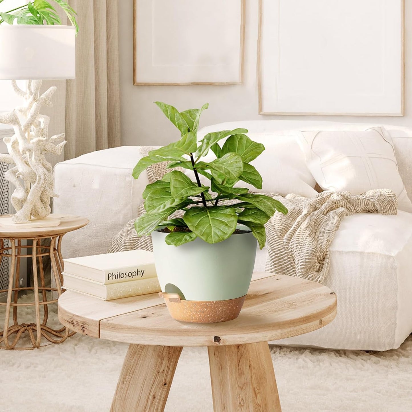 Self Watering Plant Pot with Drainage Hole,Plant Pots Outdoor Flower Pots for Indoor Plants,Modern Green Plastic Self Watering Planters Succulent Pot 7pcs/Set