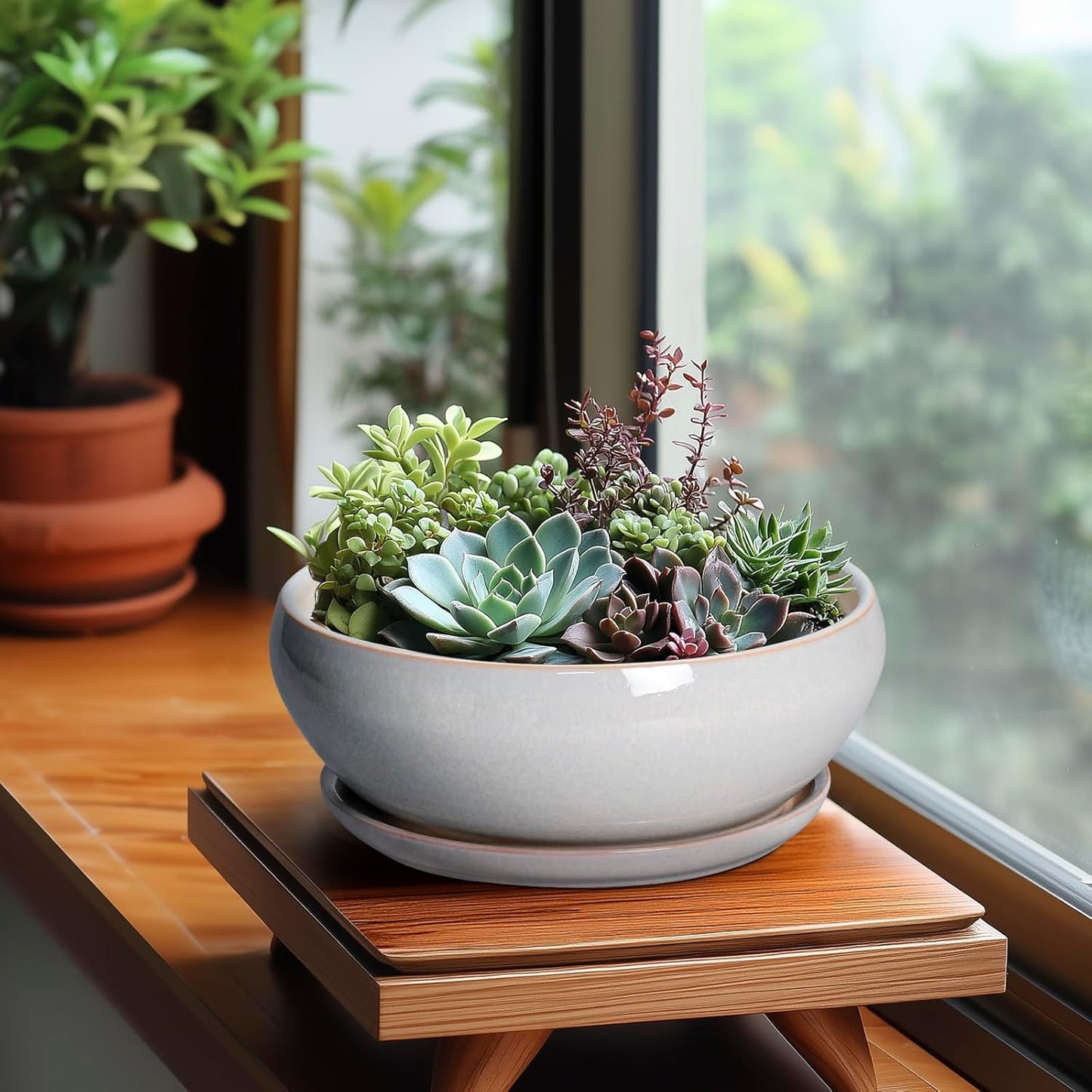 SQOWL Bonsai Tree Pots - 8 Inch Ceramic Plant Pots for Succulents, Shallow Planter with Drainage Hole and Saucer, Round Planter Indoor Outdoor, Bowl Planters, Home Decor, Gift for Plant Lover, Gray