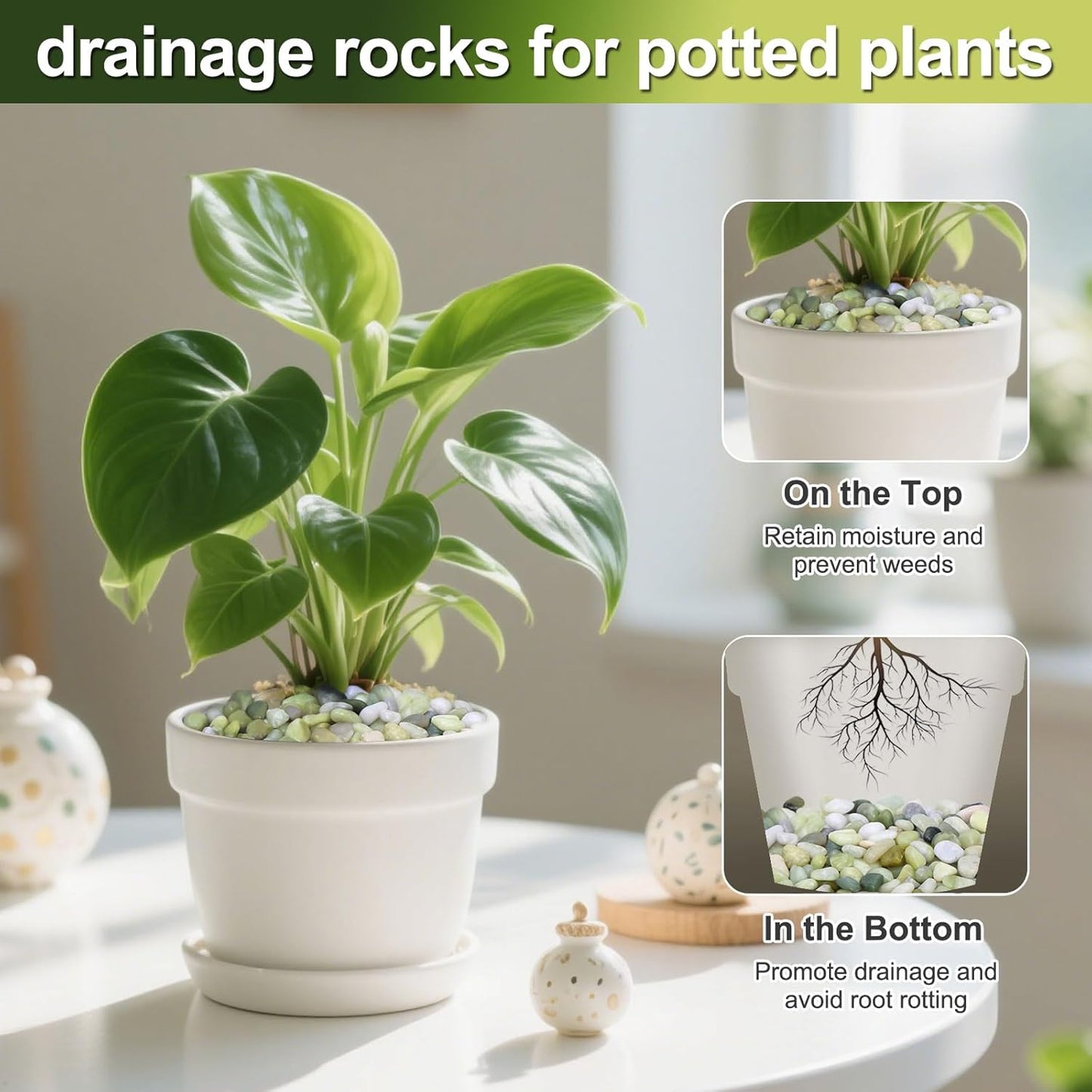 Calofulston 10 lb Small Pebbles for Indoor Plants, 3/8 Inch Decorative Rocks for Lucky Bamboo Plants Pot, Succulent, Vase, Cactus, Landscaping, Polished Jade Rocks for Plants Indoor, Green