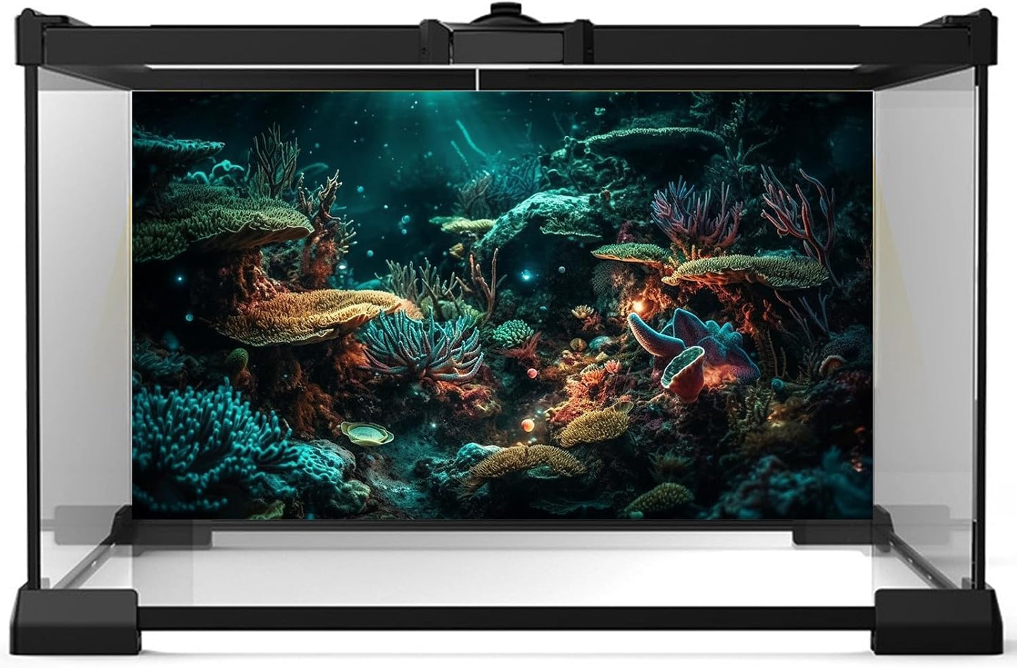 Aquarium Background Colorful Picturesque Coral Reef Terrarium Background Tropical Sea Various Hard Corals Underwater Landscape Fish Tank Backdrop Aquarium Poster Background Vinyl 48x20in