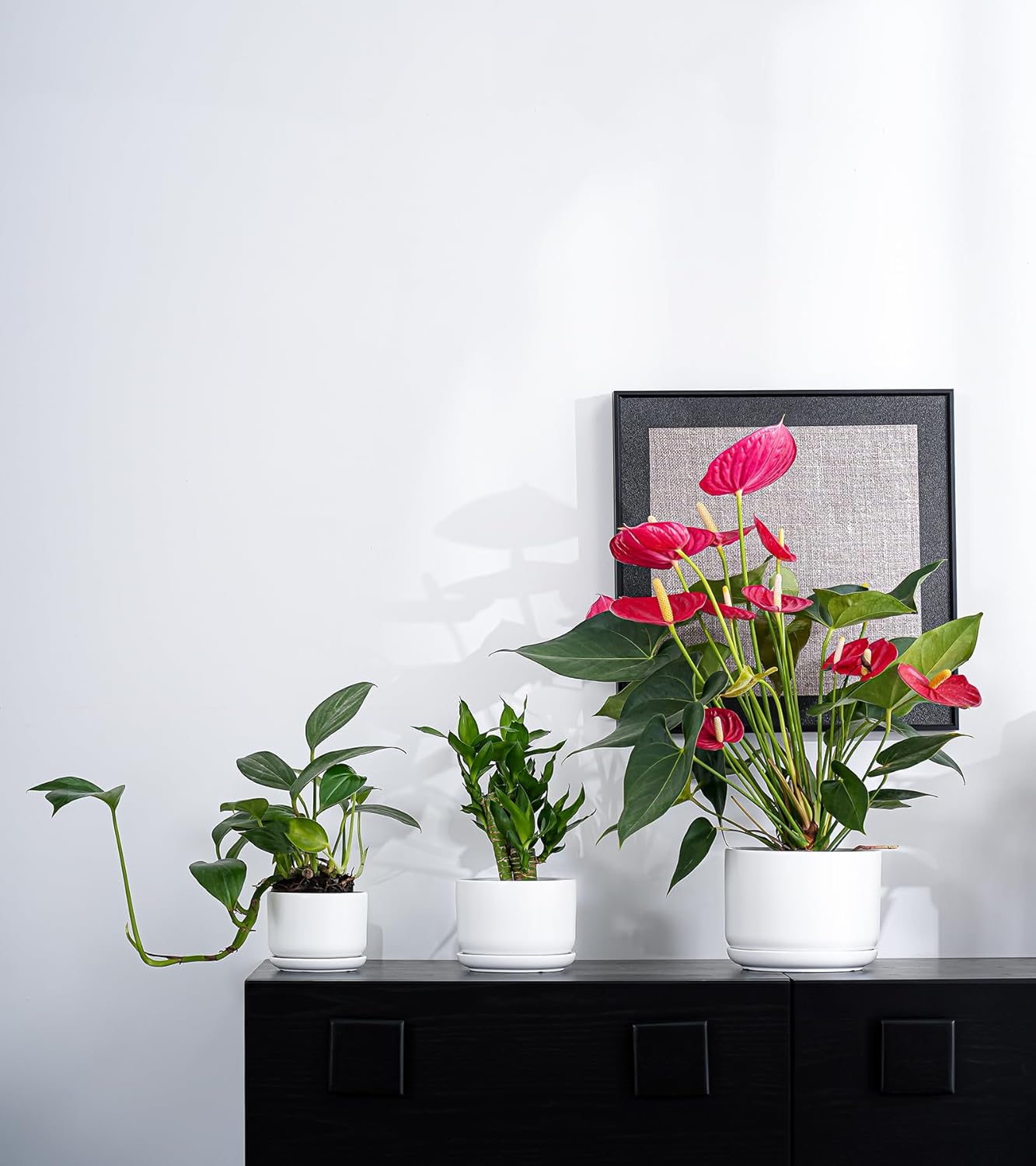 Ton Sin Plant Pots, 4.1+5.1+6.5 inch, Set of 3, Ceramic Planters with Drainage Hole and Saucer, Indoor Flower Pot with Hole Mesh Pad, Gifts for Mom(Matte White)