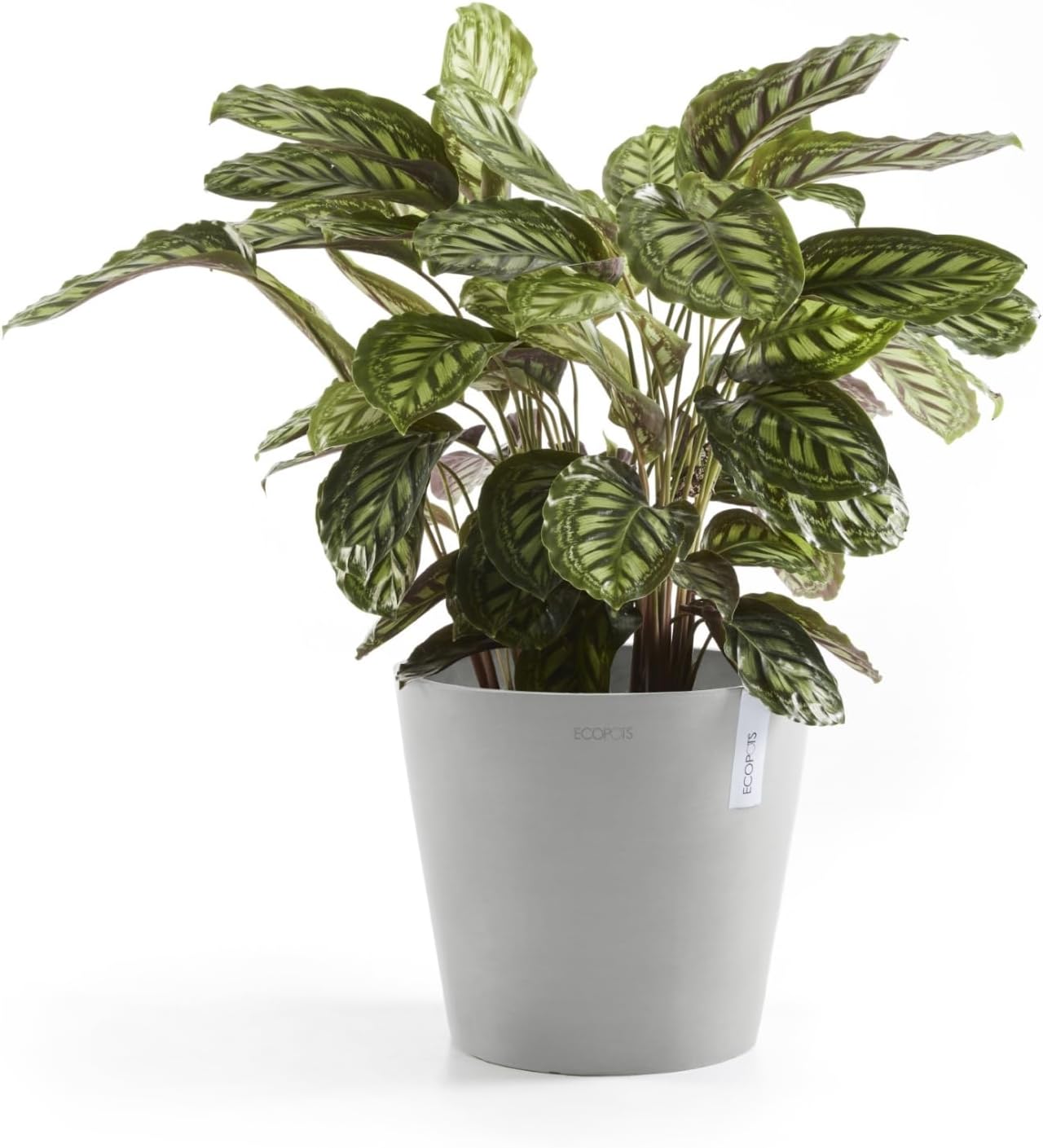 Ecopots Amsterdam Durable Modern Round Indoor/Outdoor Recycled-Based Composite Flower Pot Planter, White Grey, 16"