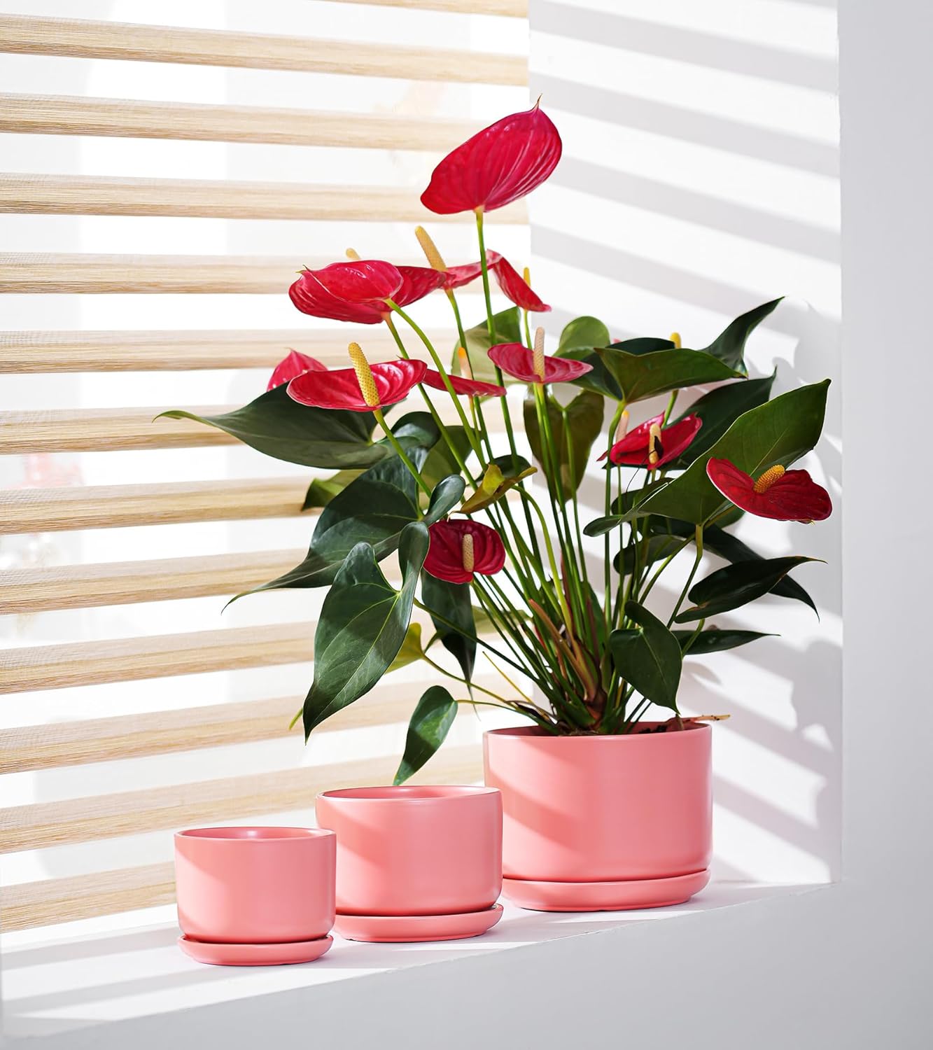 Ton Sin Plant Pots, 4.1+5.1+6.5 inch, Set of 3, Ceramic Planters with Drainage Hole and Saucer, Indoor Flower Pot with Hole Mesh Pad, Gifts for Mom(Matte Orange)