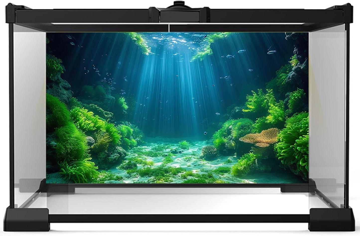 Aquarium Background Aquatic Plants Soft Algae Terrarium Backdrop Underwater World Fish Rock with Moss Sunlight Rays Fish Tank Background Aquarium Wallpaper Poster Decor Vinyl 72x18in