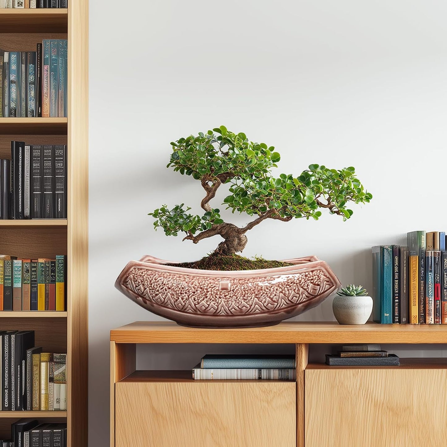 Large Bonsai Pots - 18 Inch Ceramic Succulent Pots with Drainage Hole, Bonsai Planter for Indoor Outdoor Plants, Ceramic Flower Pot, Decorative Plant Pot, Home Decor, Birthday Gifts, Red-Brown