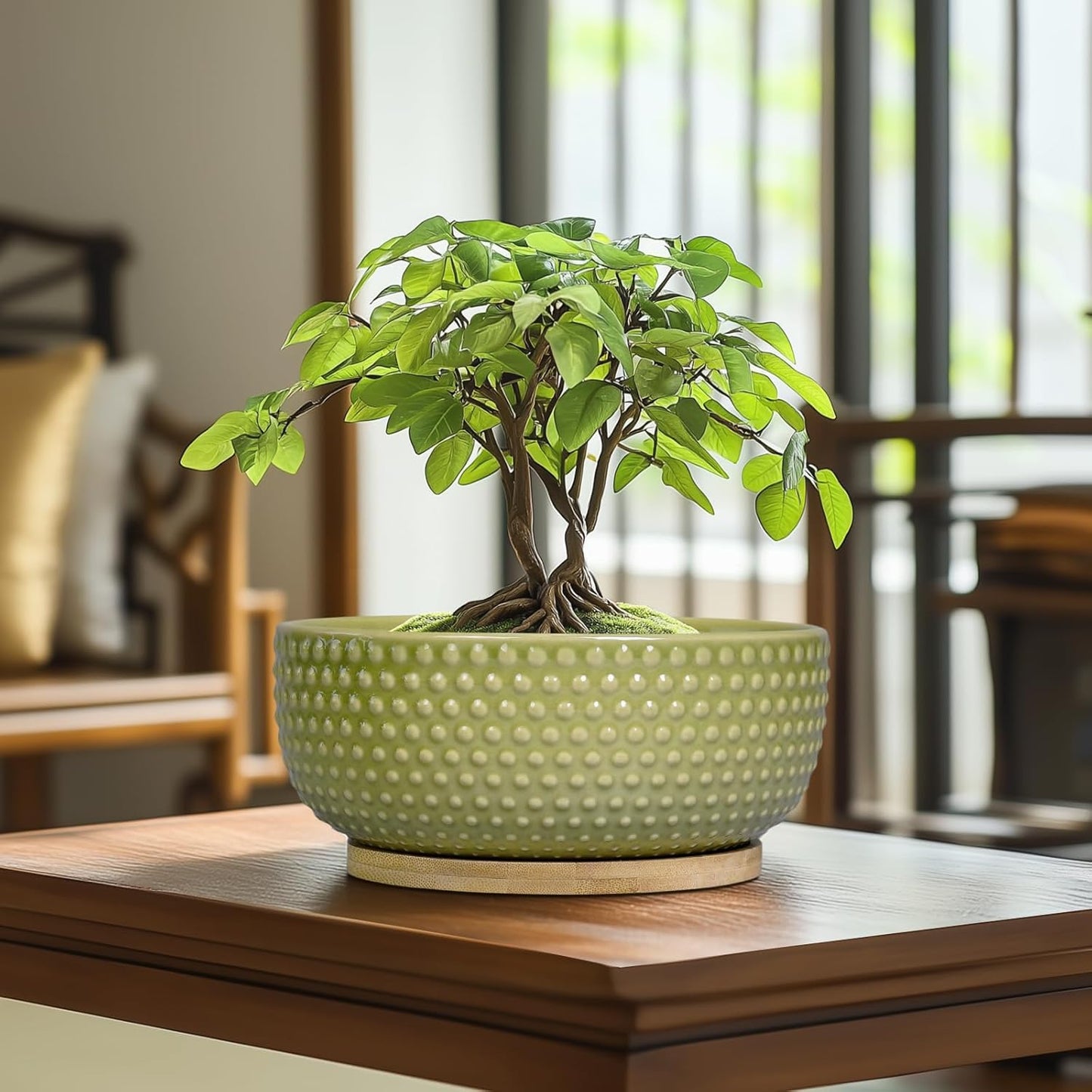 Bonsai Planter - 8 Inch Ceramic Succulent Pots with Drainage Hole and Saucer for Indoor Plants, Boho Shallow Round Planter Bowl, Desk Decor, Garden Lover Gifts, Green