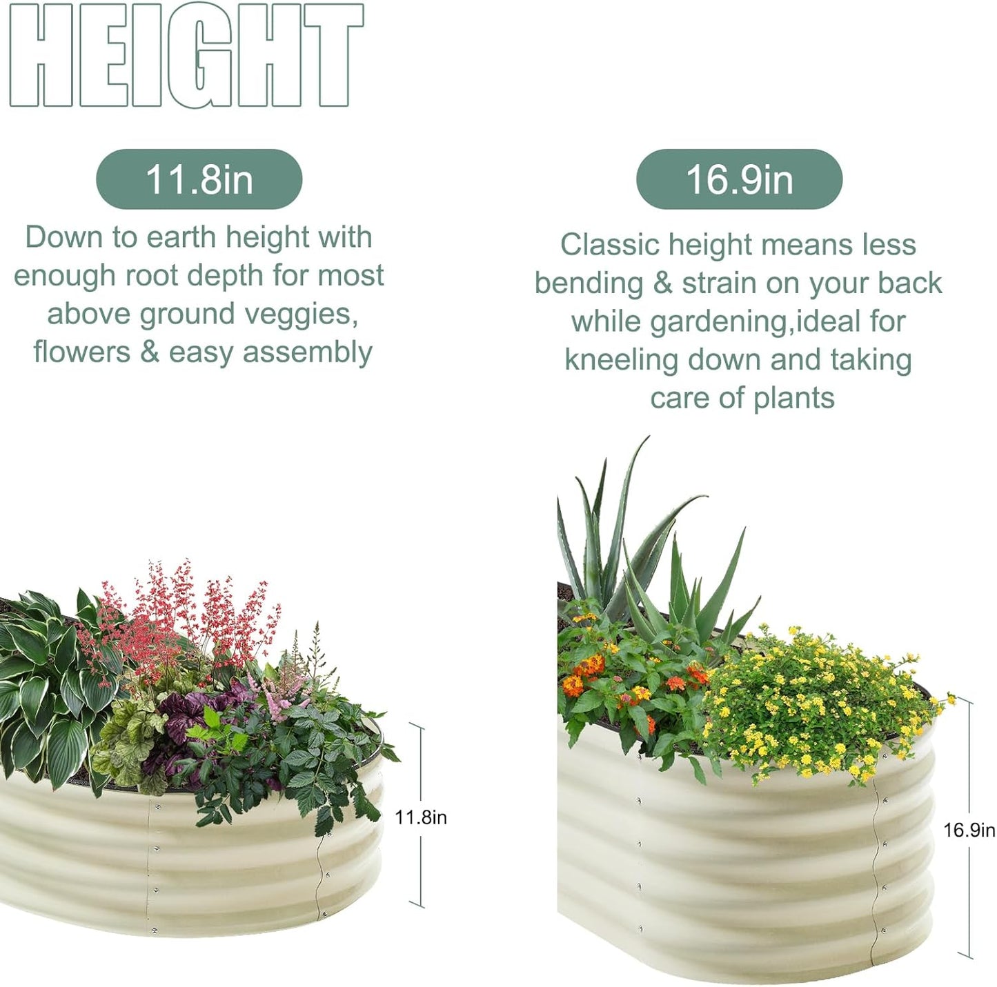 2Pcs 17" Tall Raised Galvanized Steel Garden Bed 8×2 ft Modular Planter for Gardening, Vegetables, Flowers Tall Oval Galvanized Metal 9-in-1 Raised Garden Beds Outdoor (Ivory White)