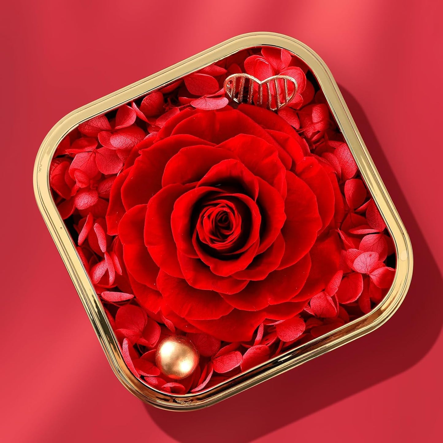 Mikasol Preserved Rose & Heart-Shaped Necklace with Jewelry Box - Preserved Rose, Ideal Romantic Gift for Women, Anniversary, Valentines, Red, 4.9"x4.5"x4.2"
