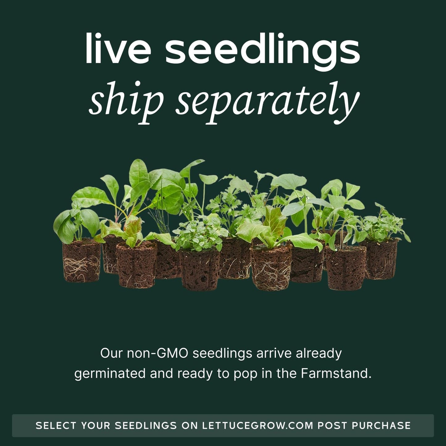 Farmstand Starter Kit + 36 Seedling Credits | Large Hydroponic Growing System Kit | Self-Watering Outdoor Vertical Garden Planter Tower | 6ft 1in | Made in USA