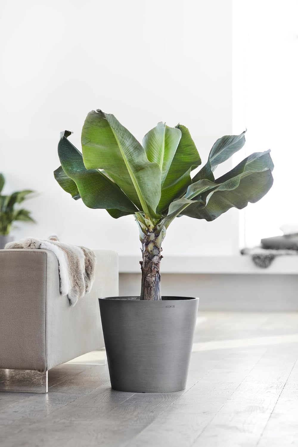 Ecopots Amsterdam Durable Modern Round Indoor/Outdoor Recycled-Based Composite Flower Pot Planter, Grey, 16"