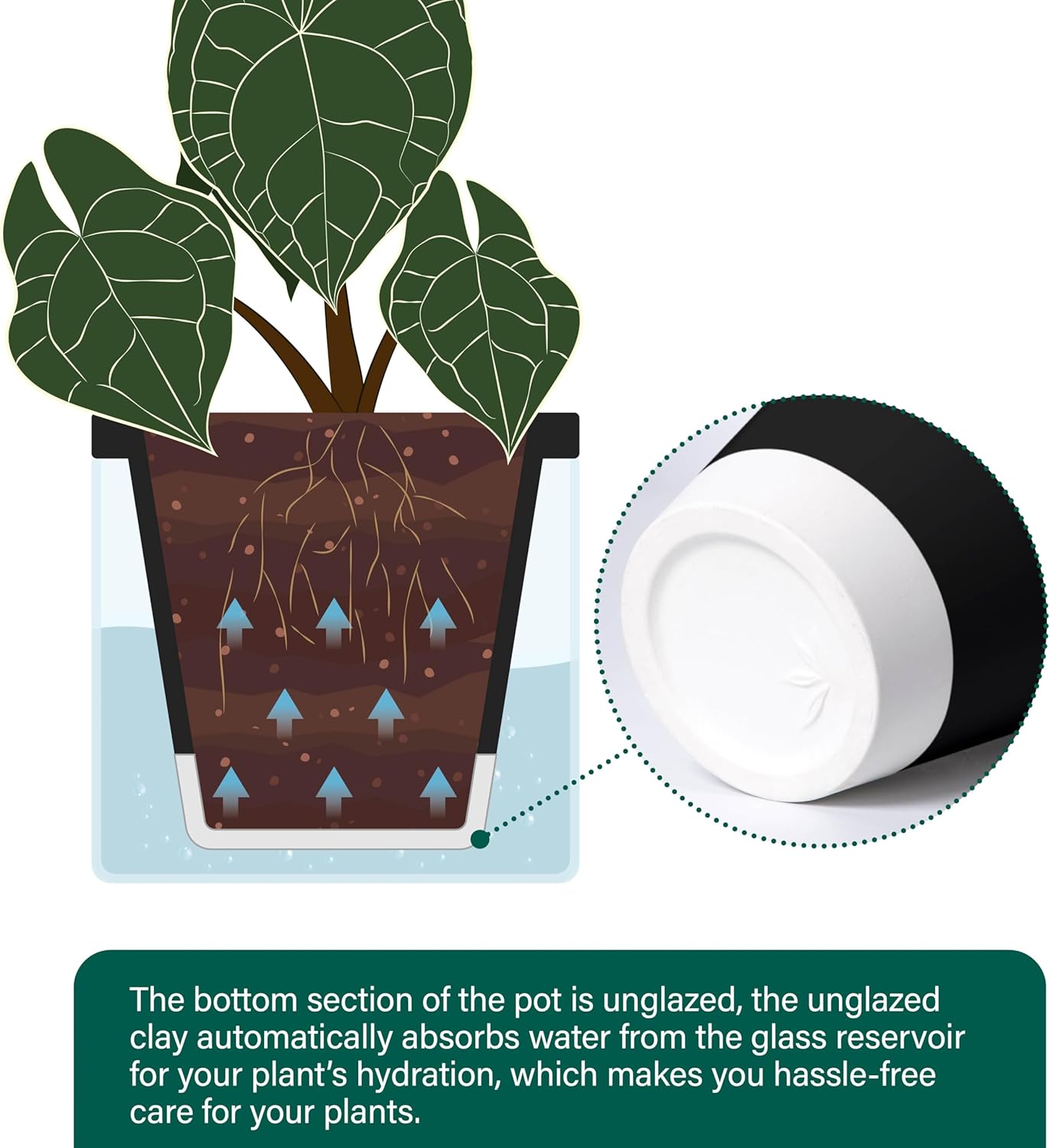 D'vine Dev 8 Inch Design Self Watering Planter for Indoor Plants, Black Terracotta Pot with Cylinder Glass Cup, 37-X-C-3