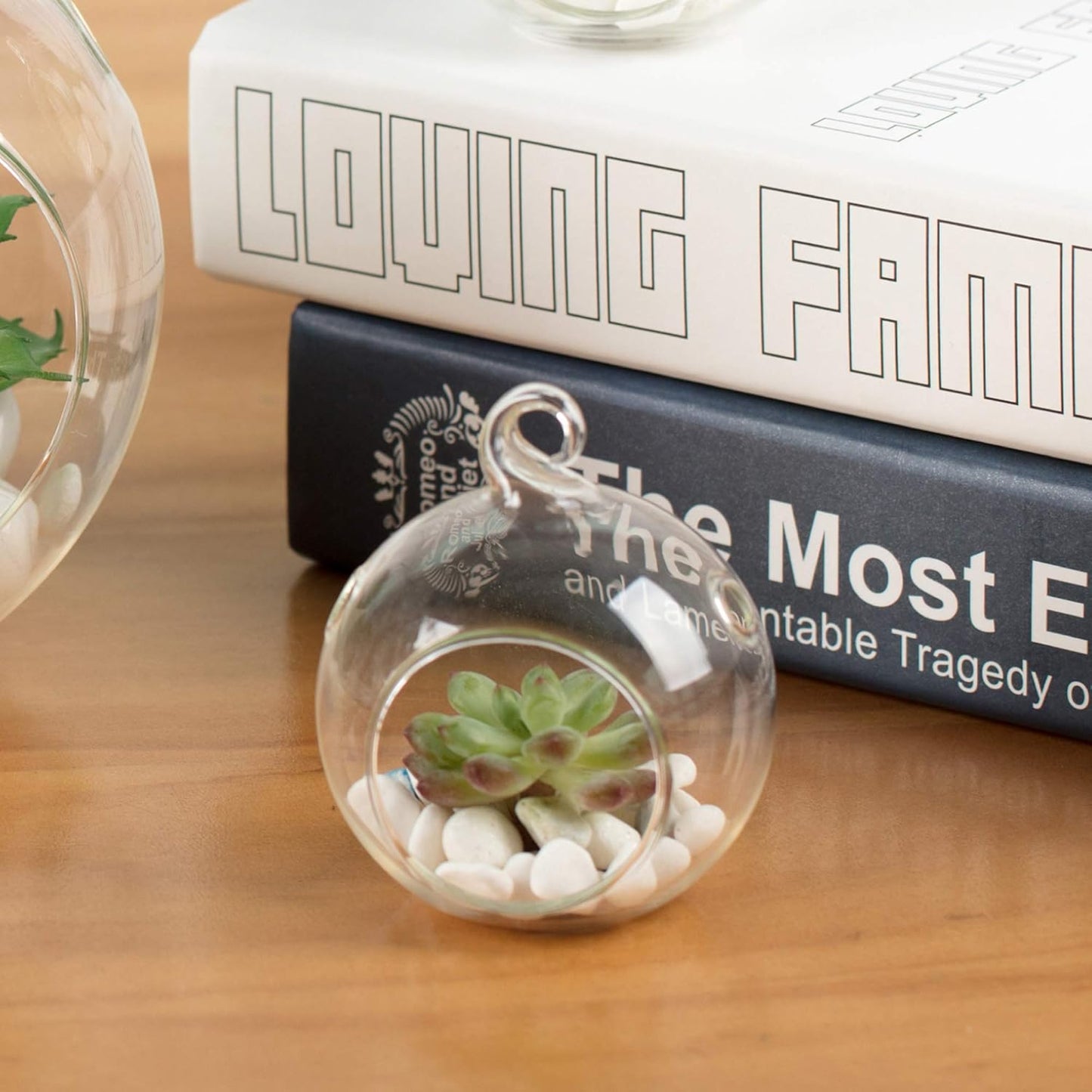 WGV Hanging Terrarium Globe, Width 2.5", Height 3", DIY Air Succulent Planter, Clear Glass Vase Orb with Flat Bottom, Candle Holder for Windowsill Outdoor Garden Decor, 6 Pieces Bulk