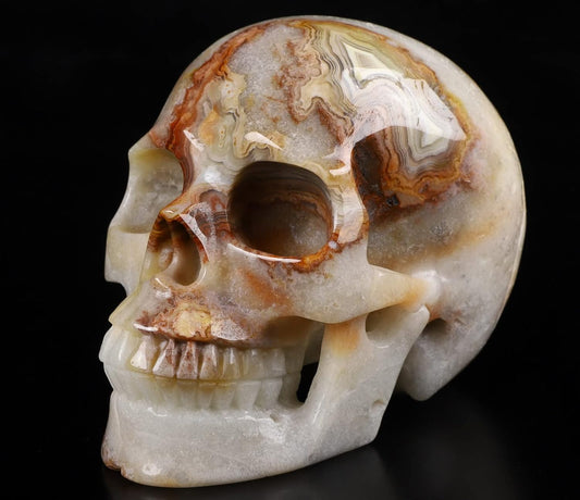 Skullis 5.0" Red Crazy Lace Agate Crystal Skull, Hand Carved Gemstone Fine Art Sculpture, Reiki Healing Stone Statue.397 Z8