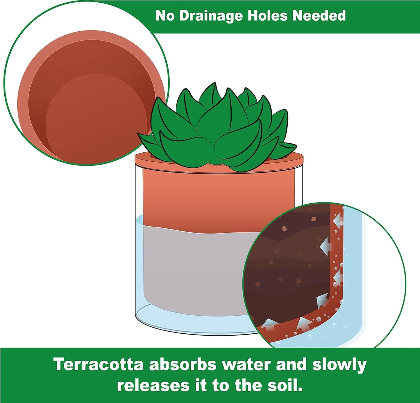 Phoenix Vine 4 Inch 6 Inch Self Watering Plants Pots, Design Terracotta Pots for Plants, Indoor Cylinder Terra Cotta Planter with Glass Vase Set, 51-A-G-46